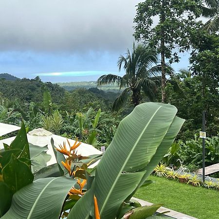 Bintana Sa Paraiso Binunsaran Мамбахао Экстерьер фото